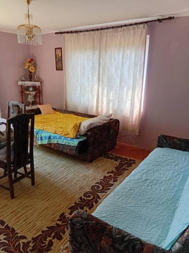 a living room with two beds and a window at Ljiljana apartmani Banja Vrujci in Rakari