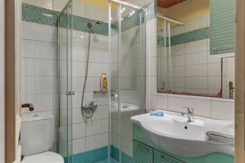 a bathroom with a shower and a sink and a toilet at Villa Epavlis in Plaka