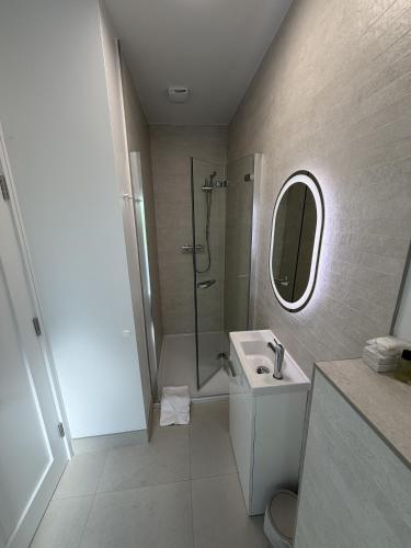 a bathroom with a shower and a sink and a mirror at The Sliding Rock Inn in Galway