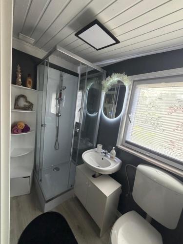a bathroom with a shower and a sink at Annas Ruheoase in Meißendorf