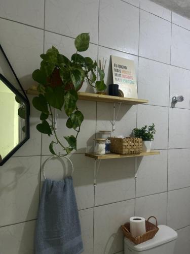 a bathroom with shelves and a plant on a toilet at Garanhuns casatres123 in Garanhuns