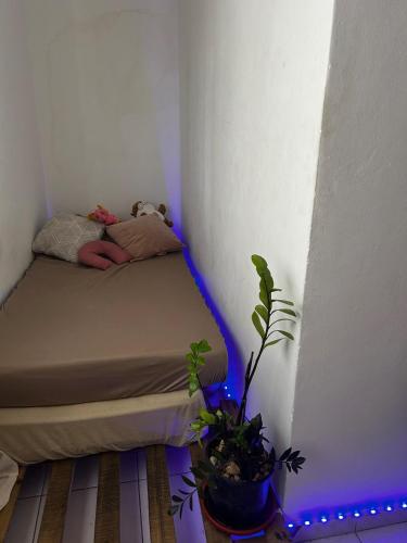 a small room with a bed with a potted plant at Garanhuns casatres123 in Garanhuns