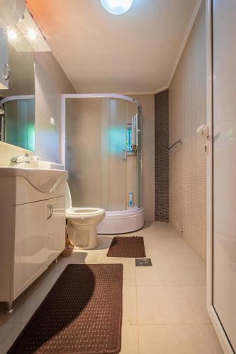 a bathroom with a shower and a toilet and a sink at Villa Stefan Kozuf in Konsko