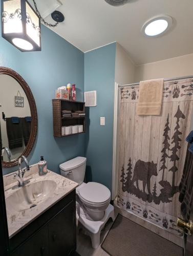 a bathroom with a toilet and a sink and a shower at Serene A-frame Cabin Pet Friendly Panoramic View in Sun Valley