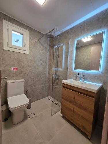 a bathroom with a toilet and a sink and a shower at BLV Apartments in Tsoukalades