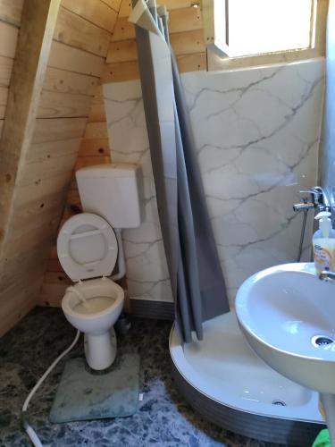 a bathroom with a toilet and a sink at Vikendica Hećo in Višegrad
