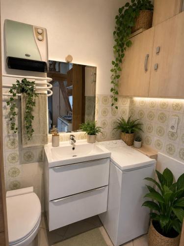 Studio climatisé avec mezzanine à 300 m de la plage