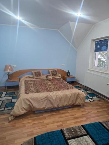 a bedroom with a large bed in a room at Casa Elena in Râmnicu Vâlcea
