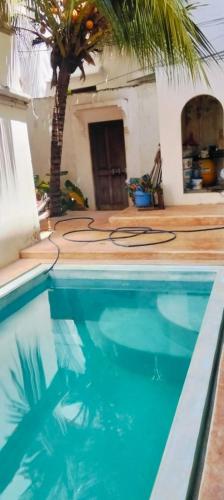 a swimming pool in a house with a palm tree at Lola House in Lamu