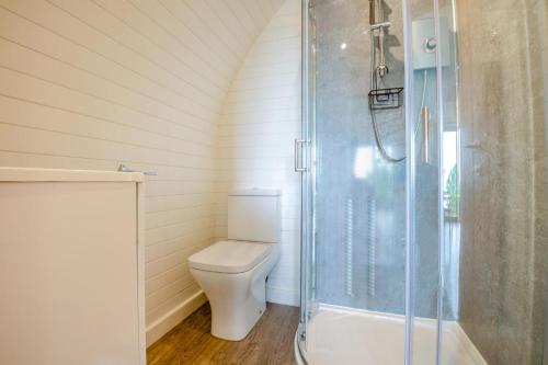 a bathroom with a toilet and a glass shower at 2 Bed in Corwen oc-80318 in Gwyddelwern