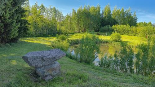 a rock sitting in the grass next to a pond at Pole u Daniela in Grzybina