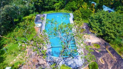 an overhead view of a swimming pool in a garden at Mango Villa in Kengalla