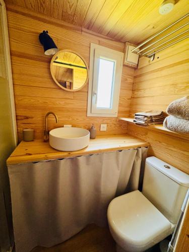 a bathroom with a sink and a toilet and a mirror at l'échappée verte in Anvéville