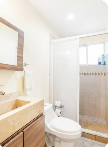 a bathroom with a white toilet and a shower at El descanso del guerrero in Barra Vieja