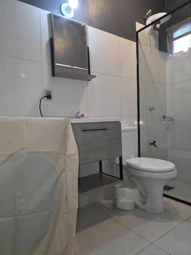 a bathroom with a toilet and a sink and a shower at Hummingbird Hostel in Ciudad del Este