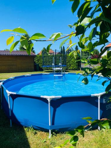 a blue pool in the grass with two chairs in it at DorJan - Domki Letniskowe in Dziwnówek
