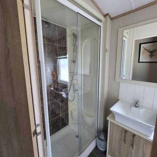 a bathroom with a shower and a sink at Bracken Lodge in Bucks Mills