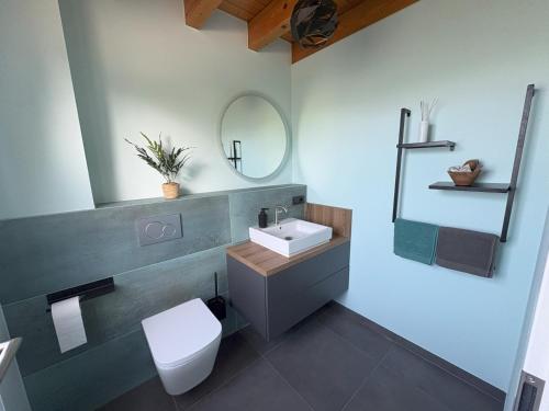 a bathroom with a toilet and a sink and a mirror at Lake House Ternsche in Selm