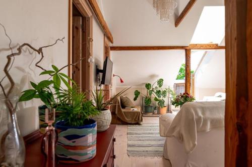 a room with potted plants sitting on a desk at Hygge Home - Bright Cottage-Style Apartment with Terrace & Free Weekend parking in Tartu
