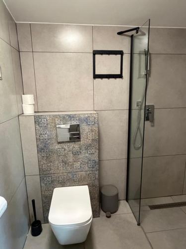 a bathroom with a toilet and a glass shower at Agroturystyka Rajski Ogród in Mysłakowice