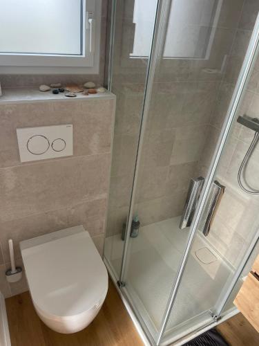 a bathroom with a toilet and a shower at Appartement bord de mer in Lampaul-Plouarzel