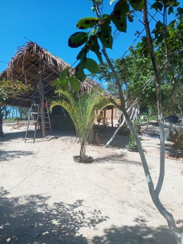 a hut with a straw roof on a beach at Hostel Rústico in Barreirinhas