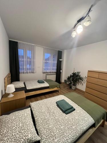 two beds in a room with two windows at Apartament przy plaży in Zbąszyń