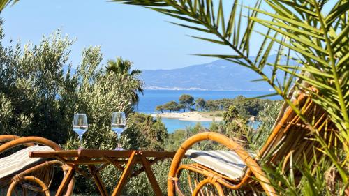 Alkinoos Majestic View villa 5100 m2 Private Estate