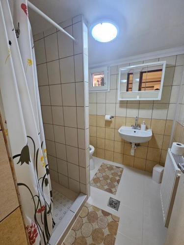a small bathroom with a sink and a shower at Party Vendégház in Hajdúszoboszló