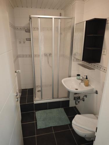 a bathroom with a shower and a toilet and a sink at Monica Inn in Passau