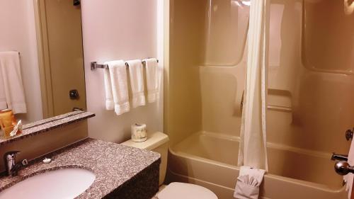 a bathroom with a sink and a shower and a toilet at Canway Inn & Suites in Dauphin