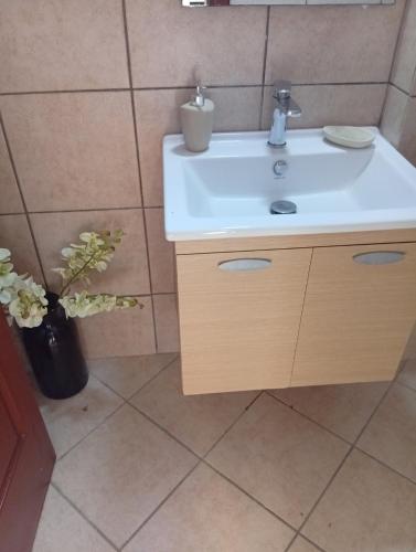 a bathroom with a sink and a potted plant at Amentas Luxury Apartments in Vrontádos