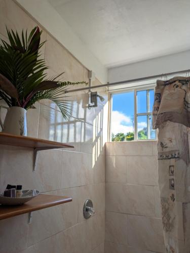 a bathroom with a shower with a plant in it at New Beginnings in Salisbury