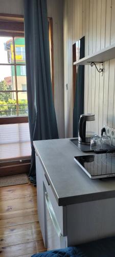 a kitchen with a counter with a sink and a window at Jagienka in Łeba