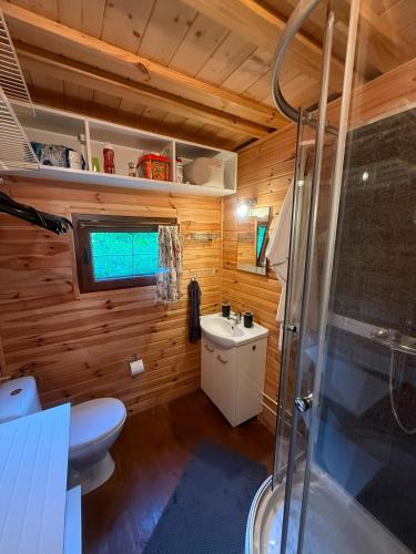 a bathroom with a shower and a toilet and a sink at Cottage with access to the lake in Tarnów Jezierny
