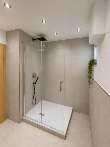 a shower with a glass door in a bathroom at Altmühl Hideaway Apartment 2 in Treuchtlingen