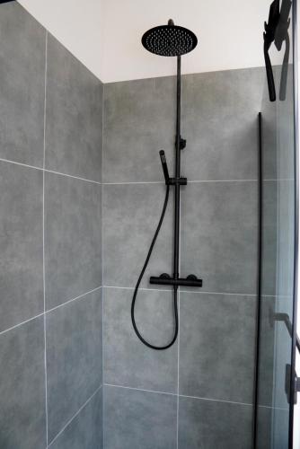 a shower with a shower head in a bathroom at Altstadtquartier Grimma in Grimma