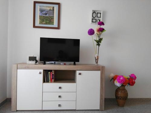 a entertainment center with a television and a vase with flowers at Velez Nazari Cambriles in Lújar