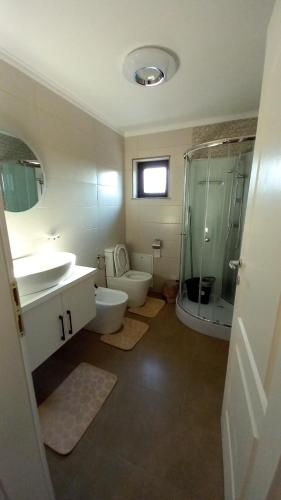 a bathroom with a toilet and a sink and a shower at Casa A&A Stefan Livada in Livada