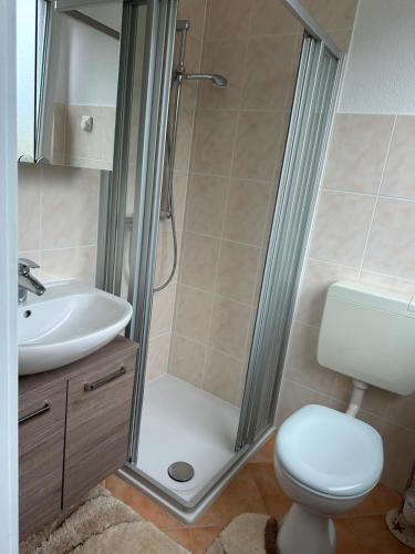 a bathroom with a shower and a toilet and a sink at Kontinental C in Bad Harzburg