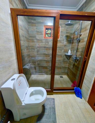 a bathroom with a toilet and a shower with a shower at Kijani Pazuri Cottages in Lushoto