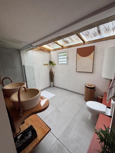 a bathroom with a sink and a toilet in it at Villa Ma Cherry in Le Diamant