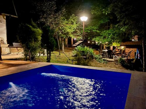 a blue swimming pool in a yard at night at Forest Oasis Slatina in Slatina Varoš