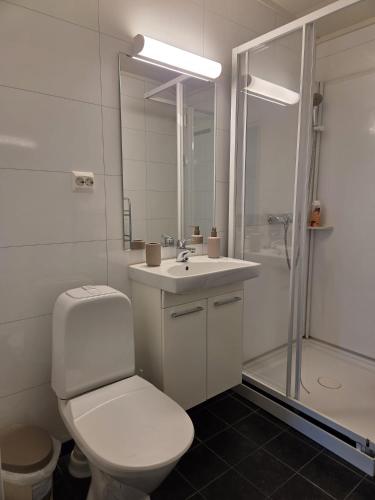 ein Badezimmer mit Toilette, Waschbecken und Dusche in der Unterkunft Bergsbu in Senja