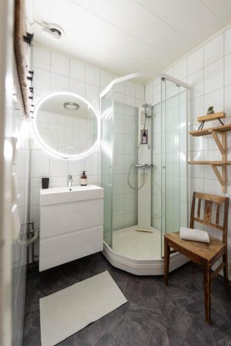 a bathroom with a shower with a sink and a mirror at Lofoten Green House in Ramberg