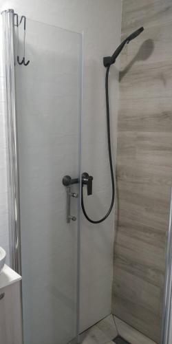 a shower in a bathroom with a glass door at Apartment Riva Lastovo in Ubli
