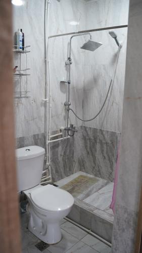 a bathroom with a white toilet and a shower at Jermuk garden in Kechʼut