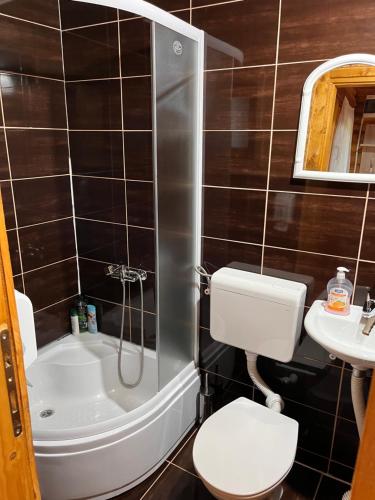 a bathroom with a toilet and a shower and a sink at Rafting Centar Bato in Plužine