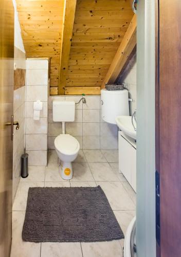 a bathroom with a toilet and a sink at Velebit House in Baške Oštarije