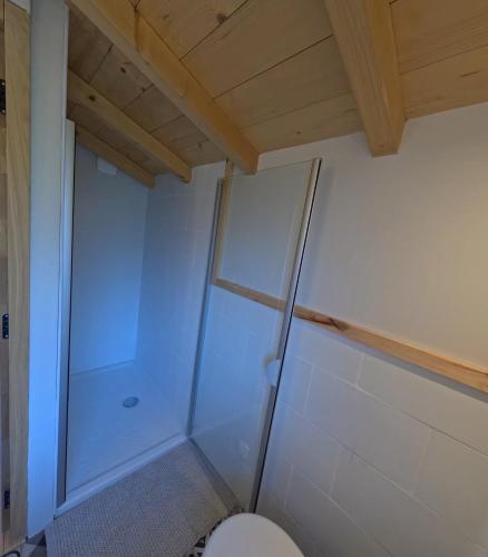 a bathroom with a toilet and a shower at Le Bâti in Servoz